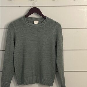 Cyrus Women's Textured Sage Sweater